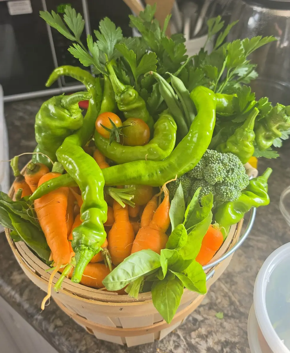 A basket filled with freshly harvested vegetables