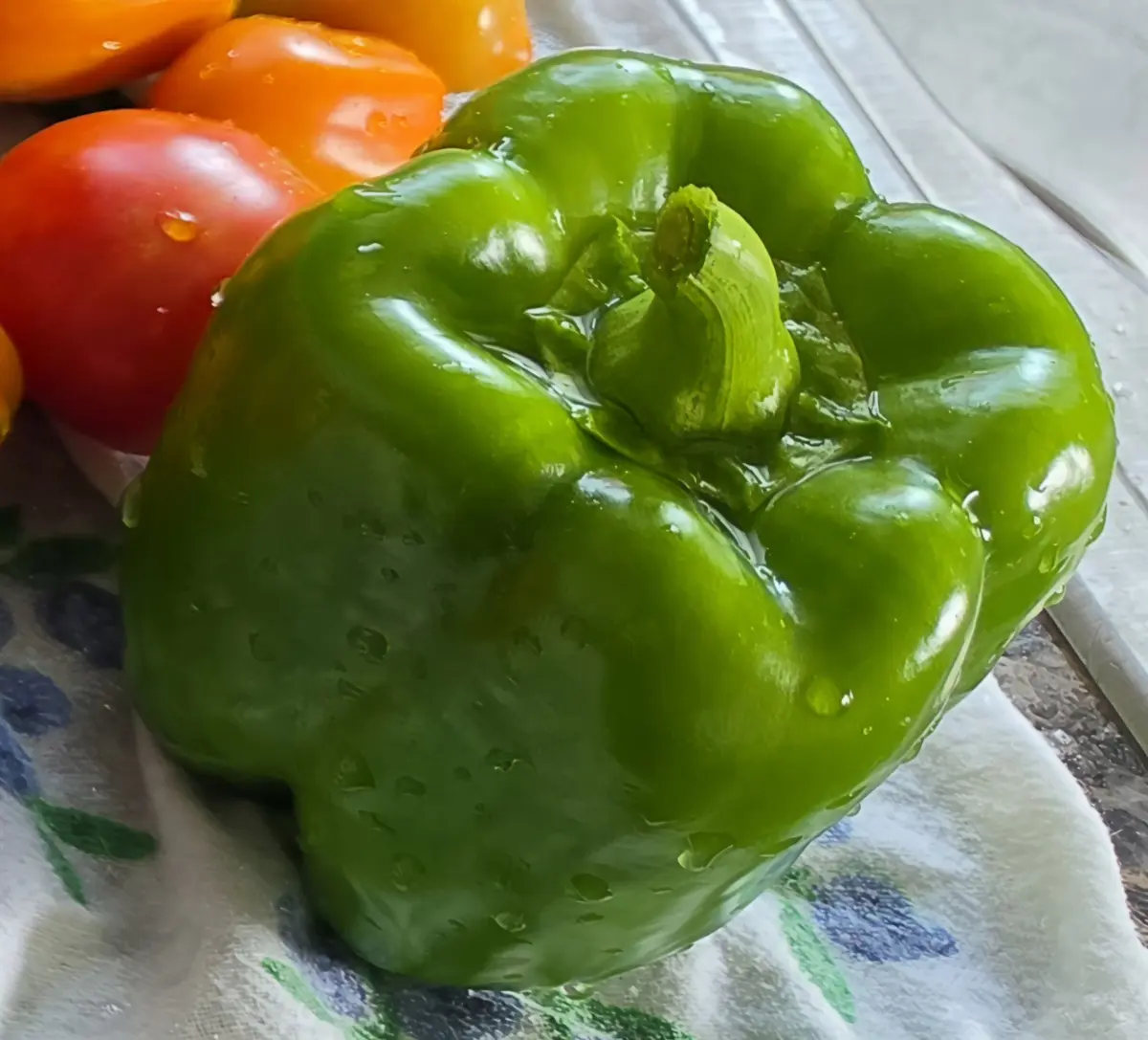 A freshly harvested green bell pepper